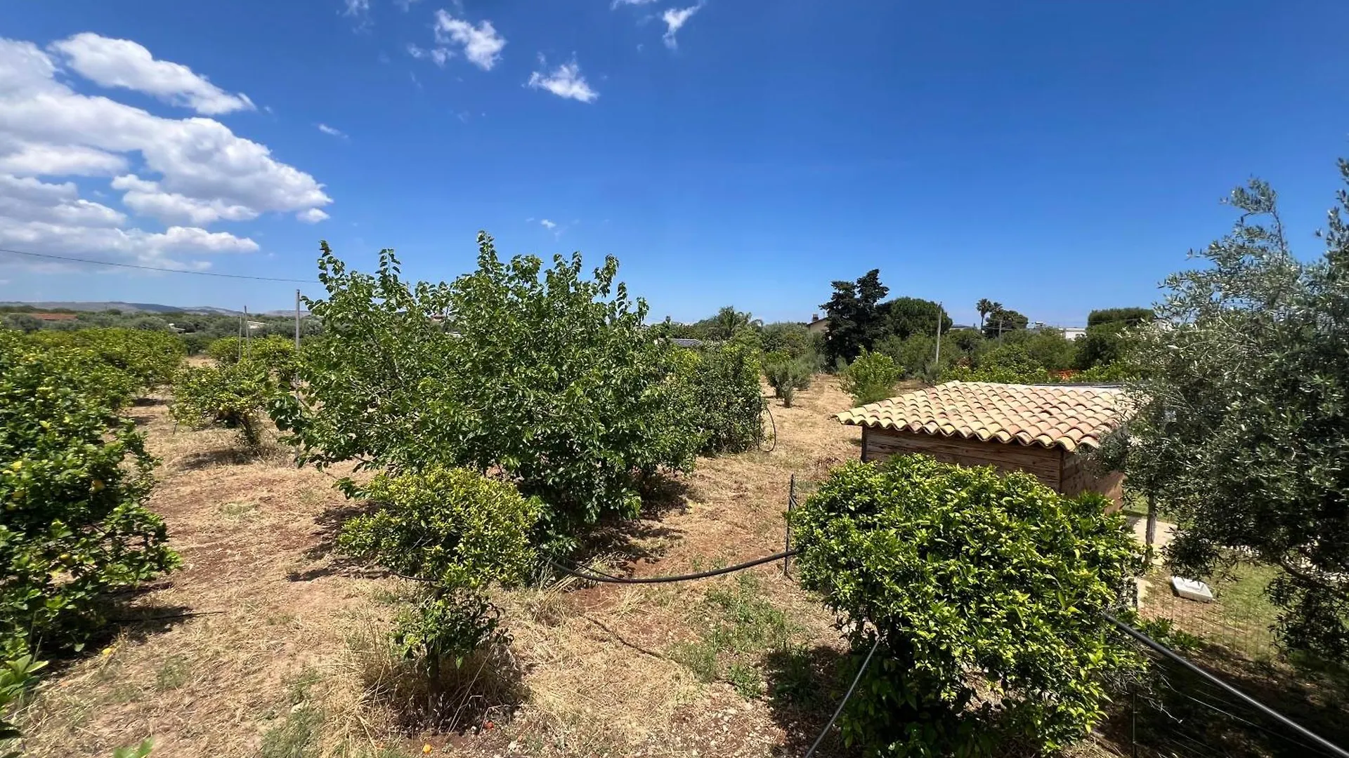 Holiday home Heloros Holiday Villas - Villa Garden Chic Lido di Noto